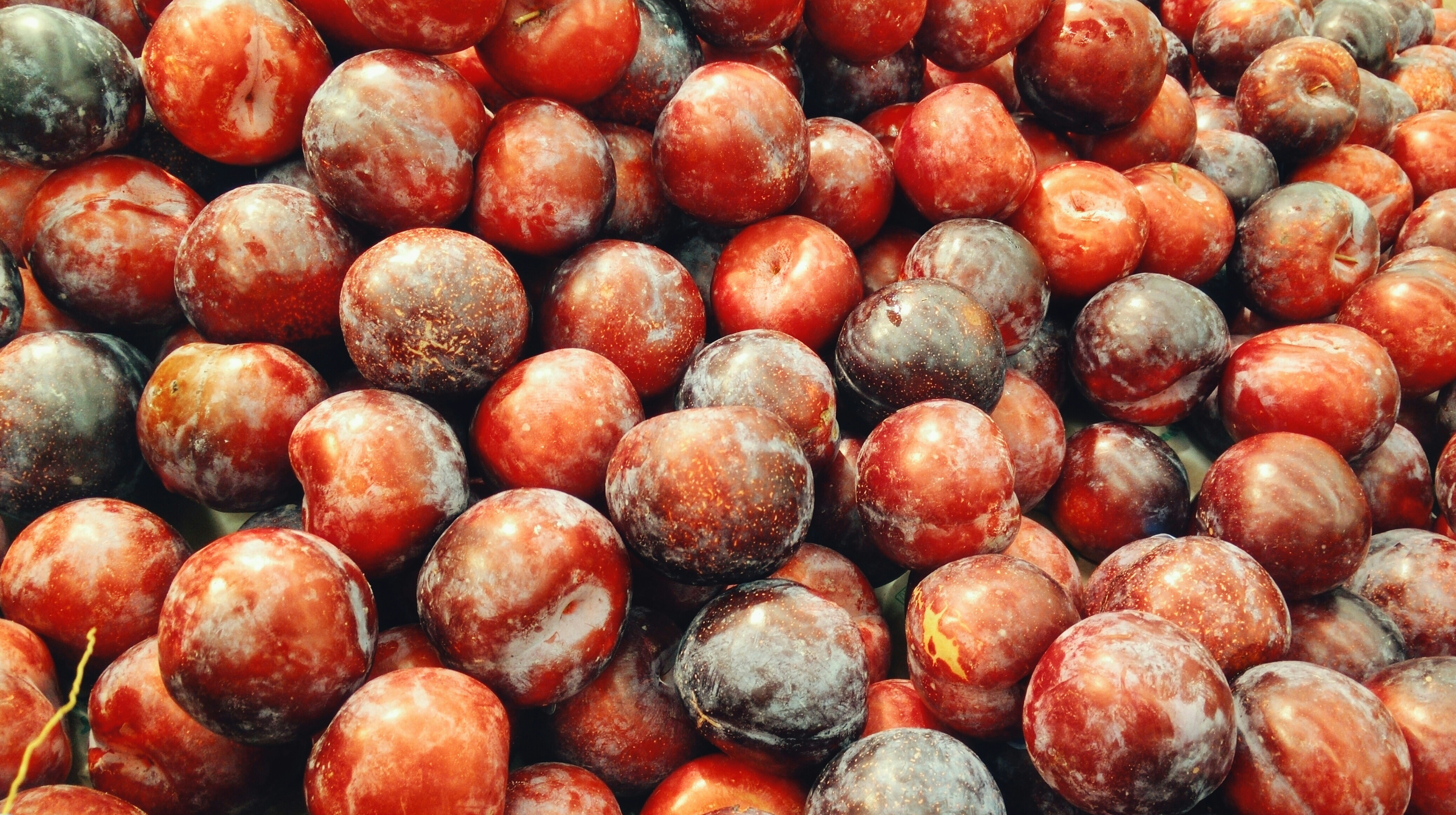 The Secret Life Of Plums EP