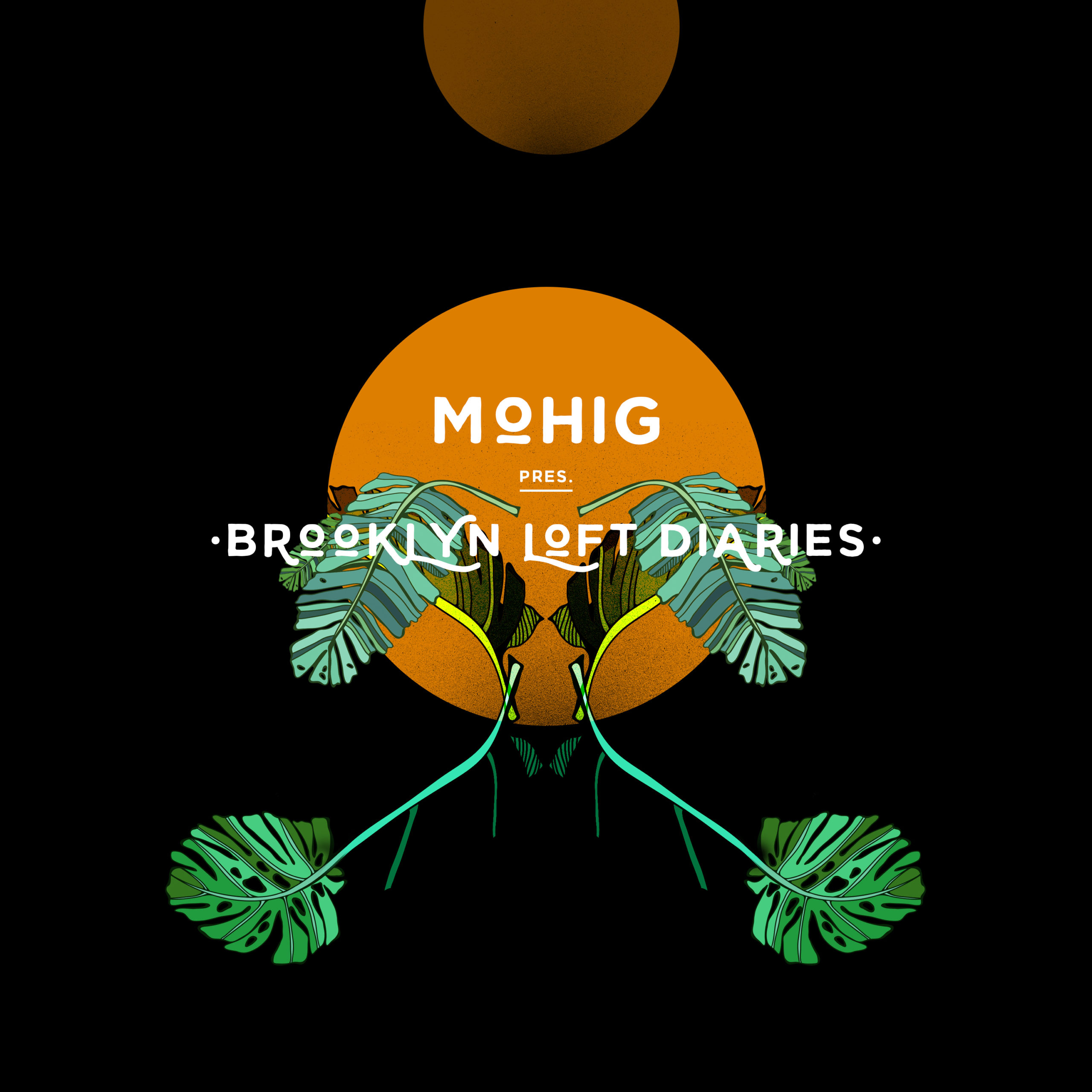 Brooklyn Loft Diaries